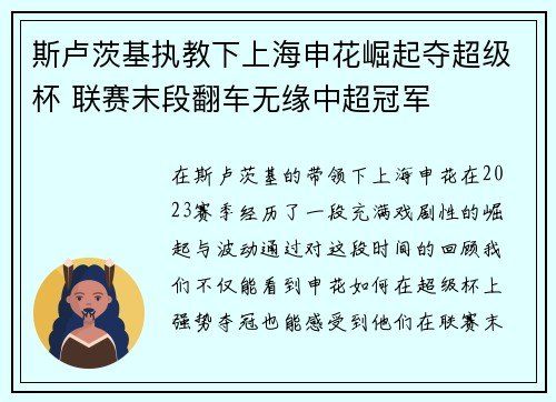 斯卢茨基执教下上海申花崛起夺超级杯 联赛末段翻车无缘中超冠军